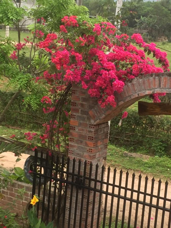 Sunshine Homestay 퐁냐 외부 사진