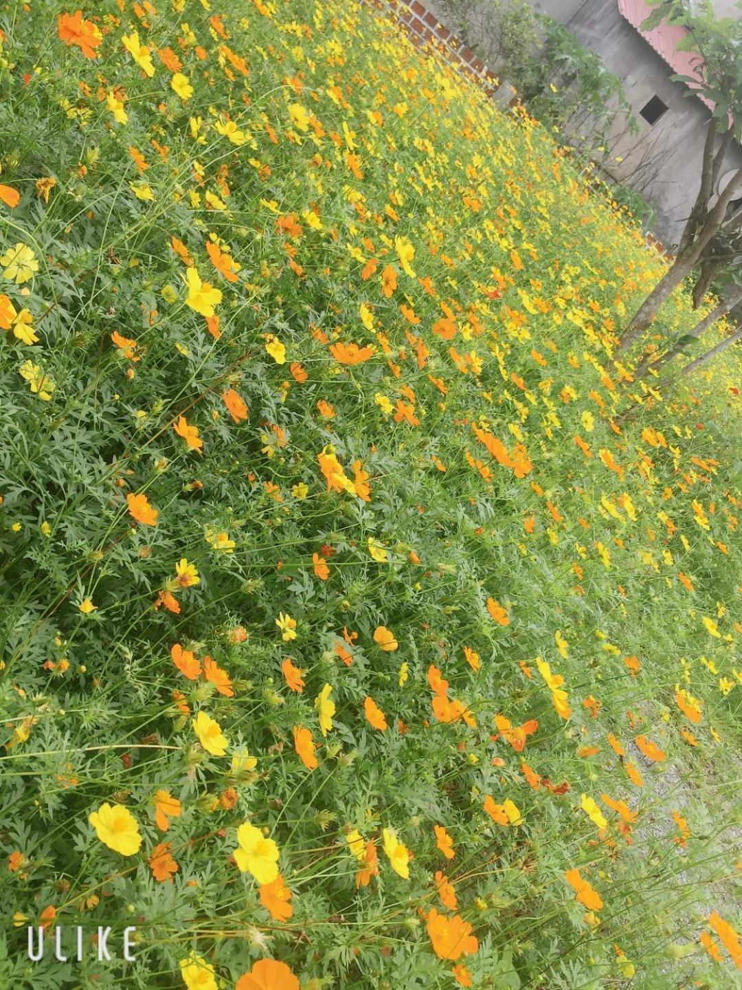 Sunshine Homestay 퐁냐 외부 사진