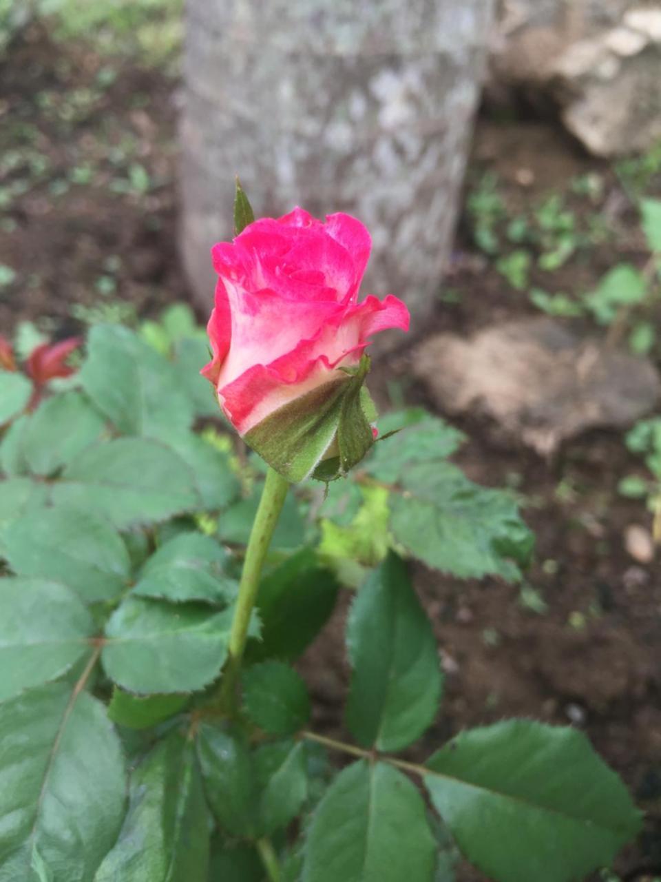 Sunshine Homestay 퐁냐 외부 사진