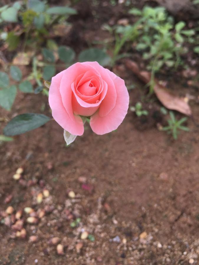 Sunshine Homestay 퐁냐 외부 사진